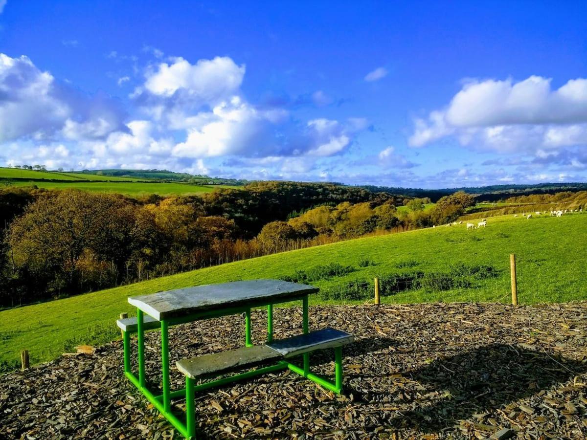 Luxury Cottage With Private Indoor Hot Tub+Woodlands Llanfyrnach ภายนอก รูปภาพ